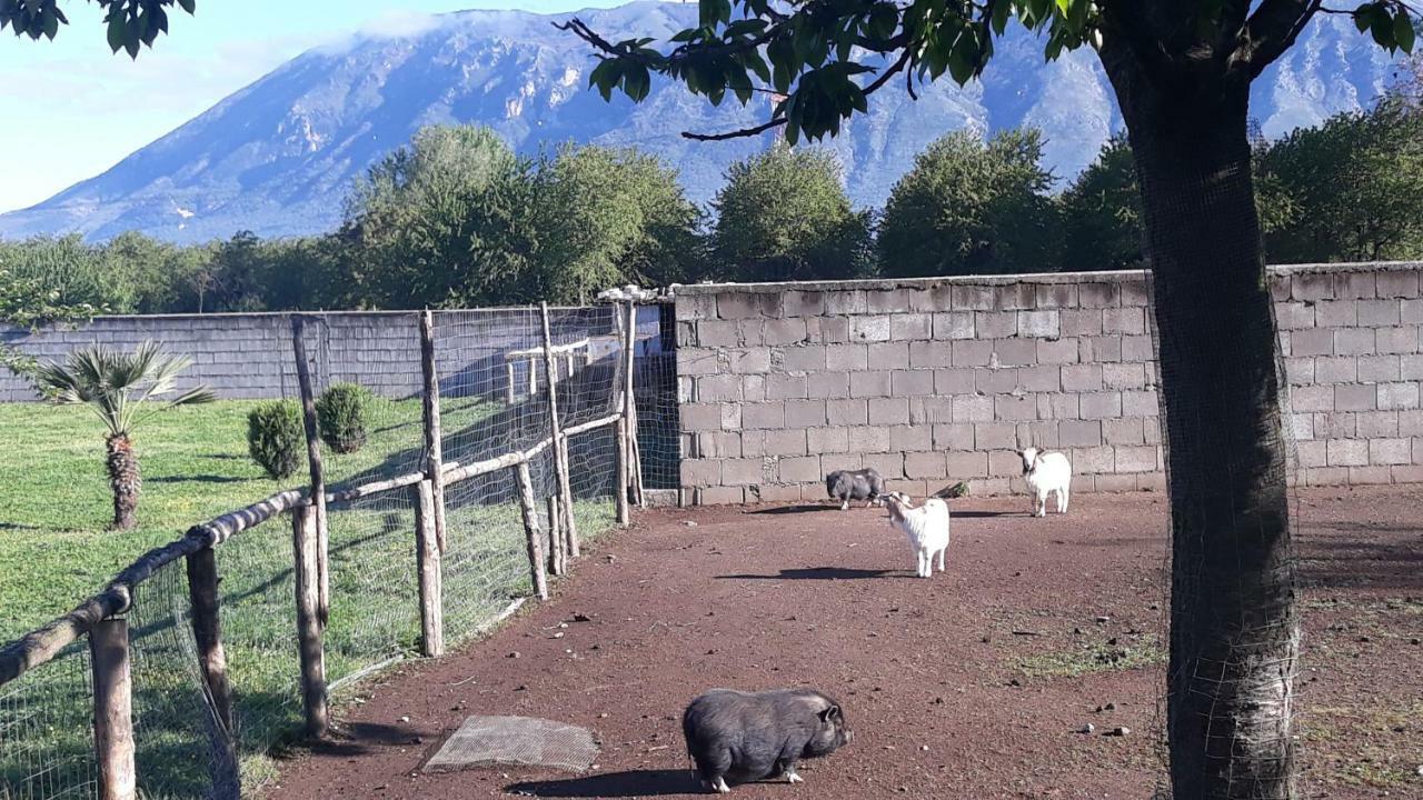 ホテル Agriturismo Carlo Cioffi Rotondi エクステリア 写真